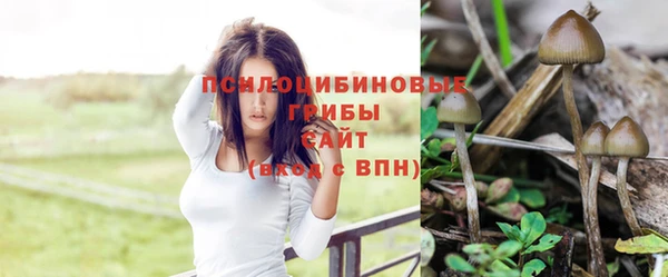 первитин Алексеевка