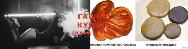 эйфоретик Алзамай