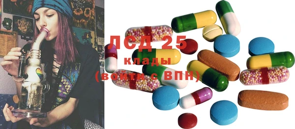 эйфоретик Алзамай